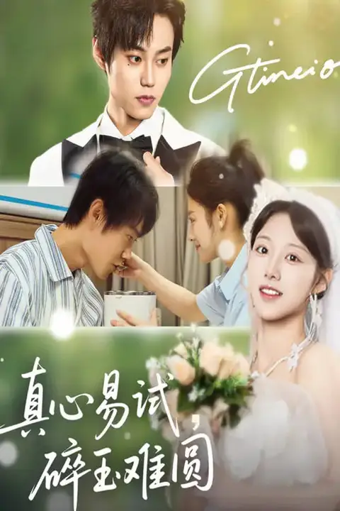 《真心易试碎玉难圆》封面