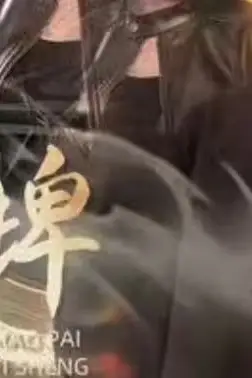 《冒牌医圣》封面