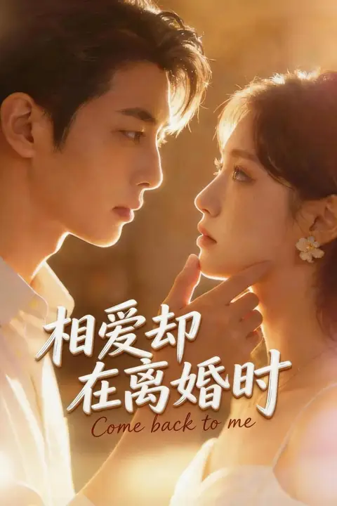 《相爱却在离婚时》封面