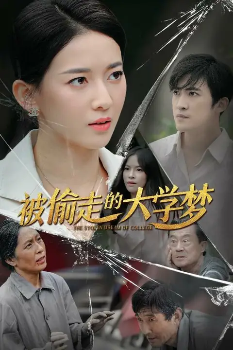 《被偷走的大学梦》封面