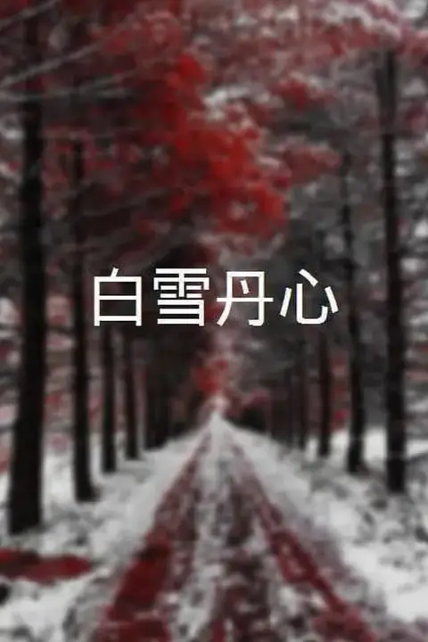 《白雪丹心》封面