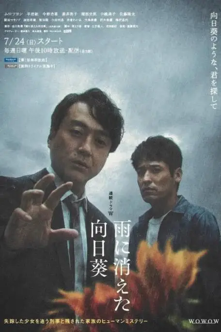 《雨中消失的向日葵》封面