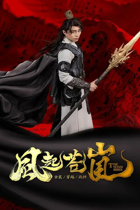 《风起苍岚》封面