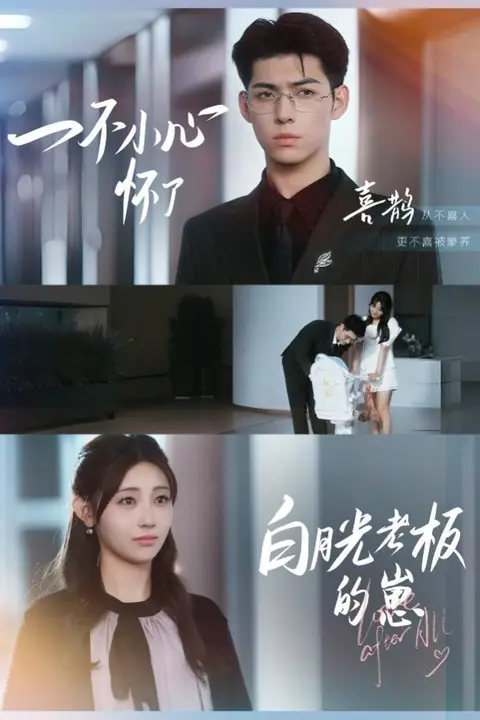 《一不小心怀了白月光老板的崽》封面