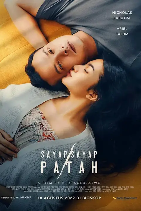 《折翼》封面