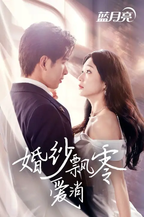 《婚纱飘零爱消弭》封面