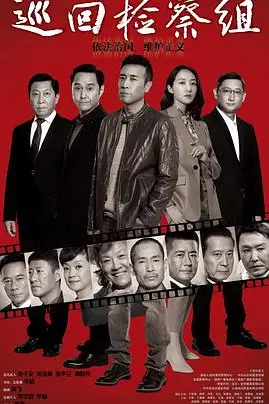 《巡回检察组》封面