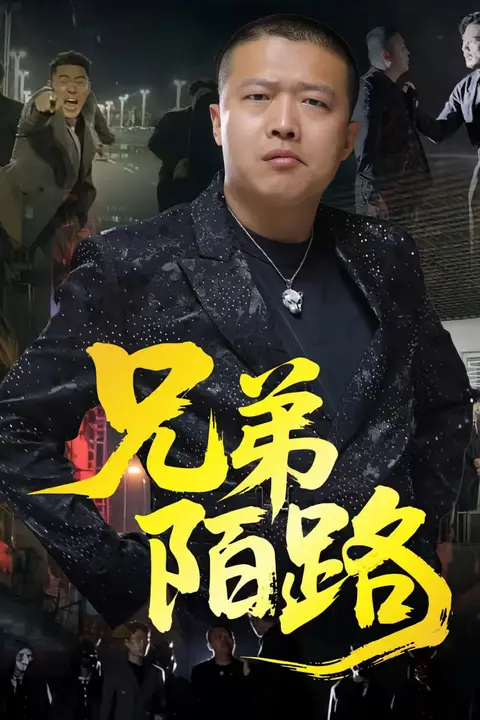 《兄弟陌路》封面