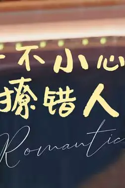 《一不小心撩错人》封面