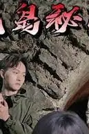 《荒岛秘闻》封面