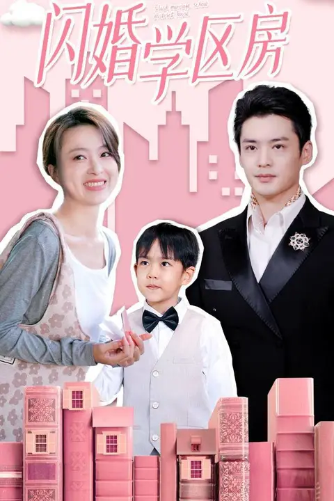 《闪婚学区房》封面
