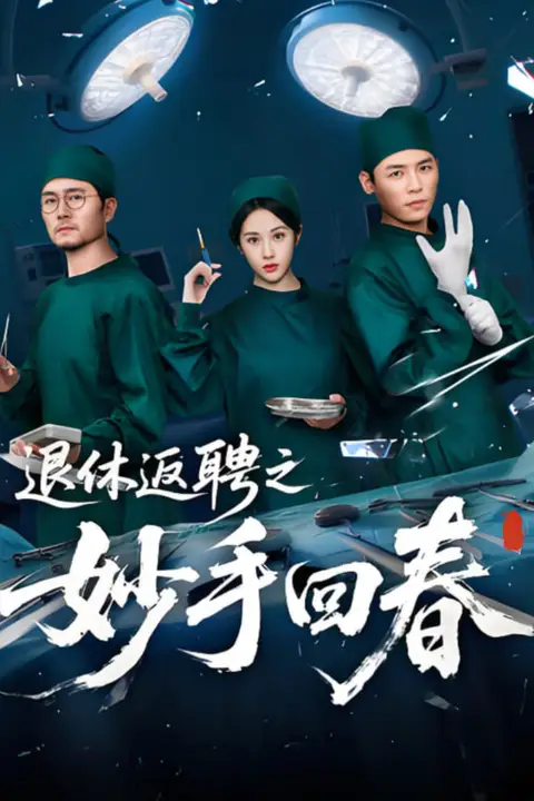 《退休返聘之妙手回春》封面