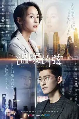 《温暖的弦》封面