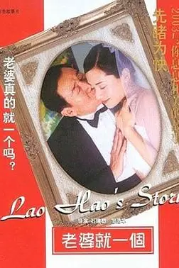 《老婆就一个》封面