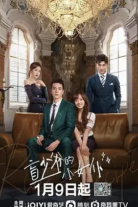 《盲少爷的小女仆》封面