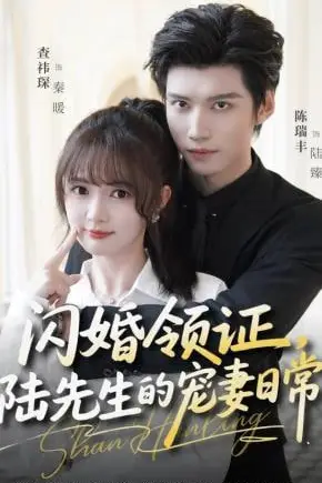 《闪婚领证，陆先生的宠妻日常》封面