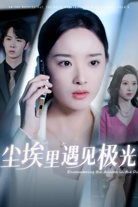 《尘埃里遇见极光》封面