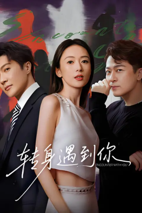 《转身遇到你》封面