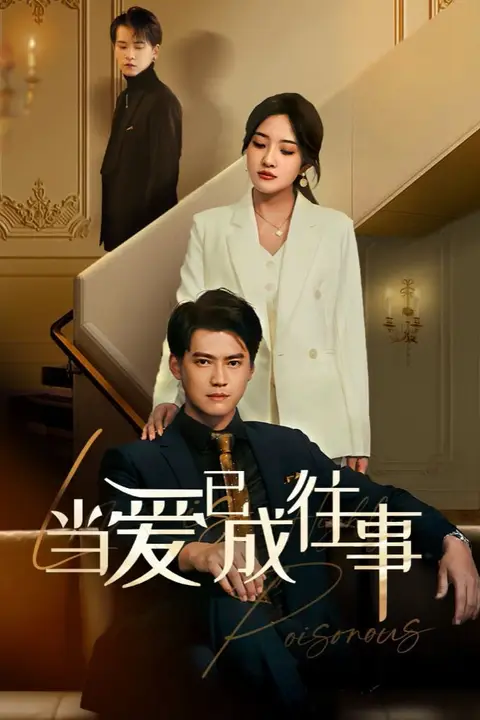 《新：当爱已成往事》封面