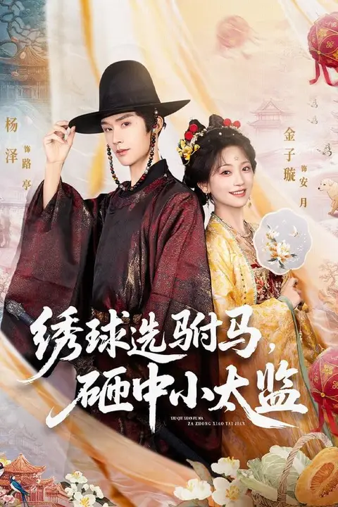 《绣球选驸马，砸中小太监》封面