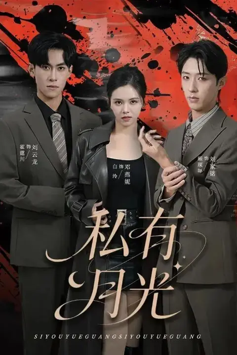 《私有月光》封面