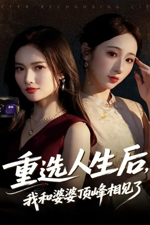 《重选人生后，我和婆婆顶峰相见了》封面