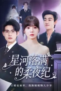 《星河落满的柔夜纪》封面