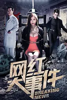《网红大事件》封面