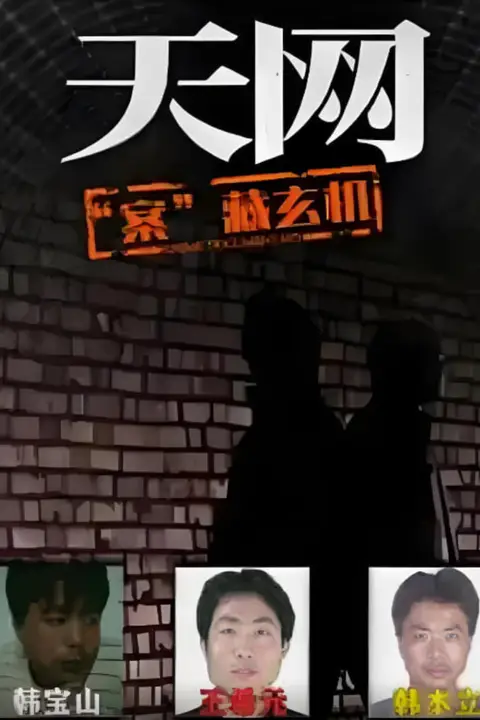 《天网:“案”藏玄机》封面