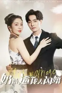《奶奶逼我去闪婚》封面