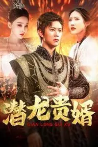 《潜龙贵婿》封面