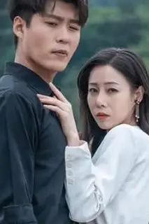 《崛起从回村开始》封面