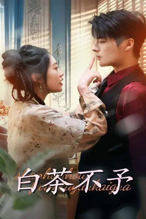 《白茶不予》封面