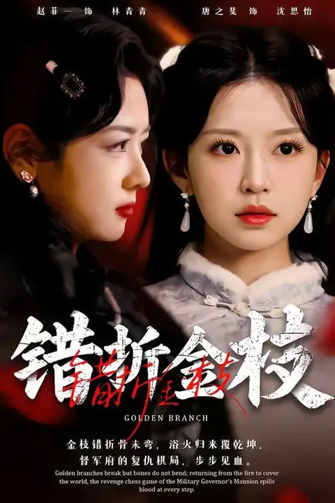 《错折金枝》封面
