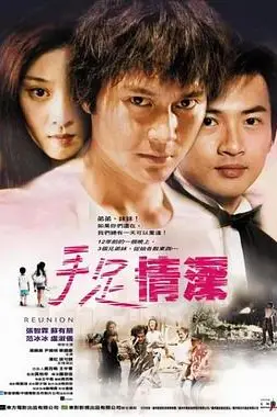 《手足情》封面