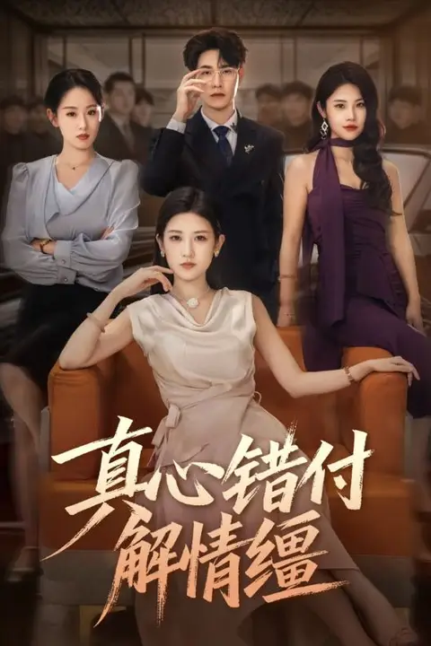 《真心错付解情缰》封面