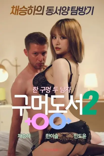 《东西向洞2》封面
