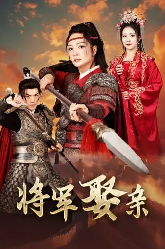 《将军娶亲》封面