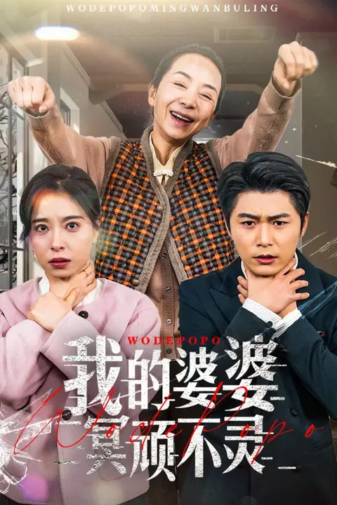 《我的婆婆冥顽不灵（好心婆婆之事与愿违）》封面
