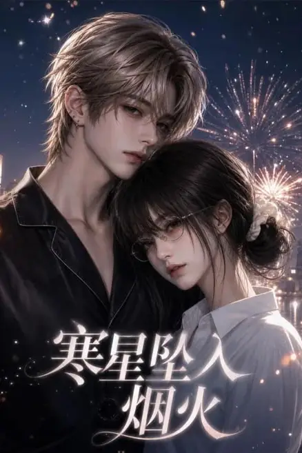 《寒星坠入烟火》封面
