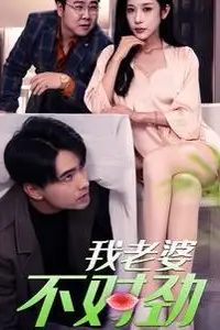 《我老婆不对劲》封面