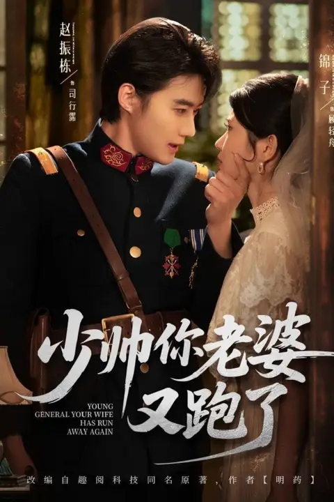 《少帅你老婆又跑了》封面
