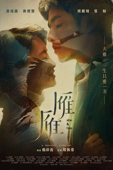 《雁雁》封面