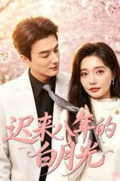 《迟来八年的白月光》封面