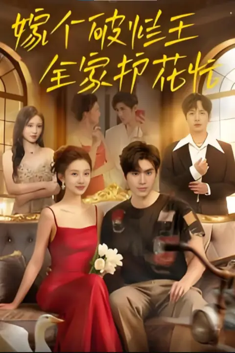 《嫁个破烂王，全家护花忙》封面