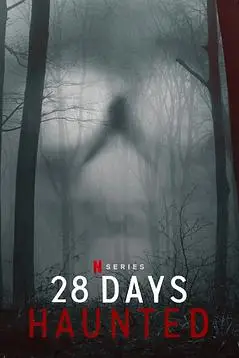 《闹鬼实境28天》封面