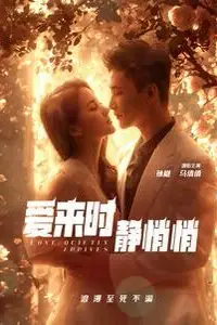 《爱来时静悄悄》封面
