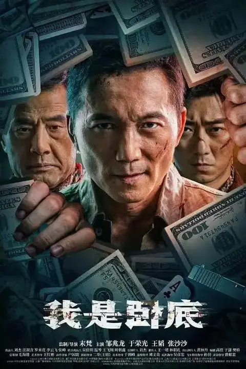 《我是卧底》封面