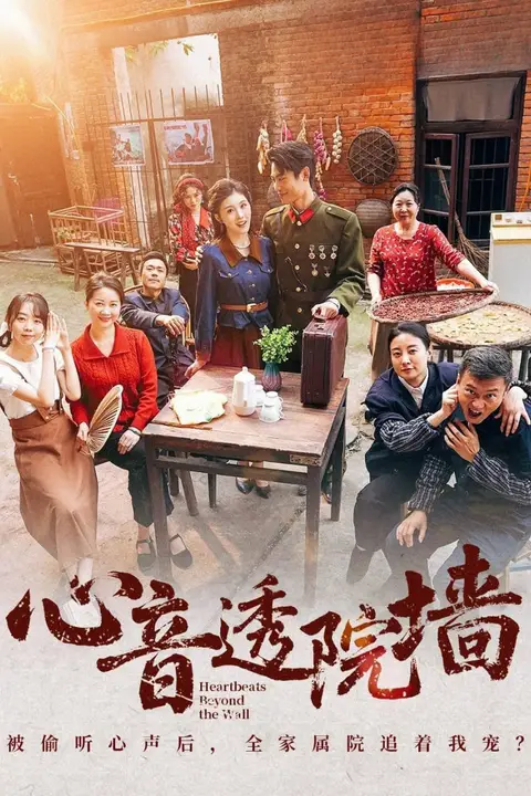 《心音透院墙》封面