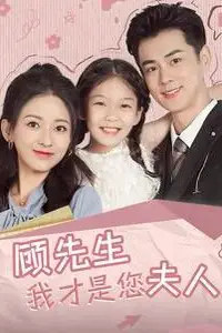 《顾先生我才是您夫人》封面